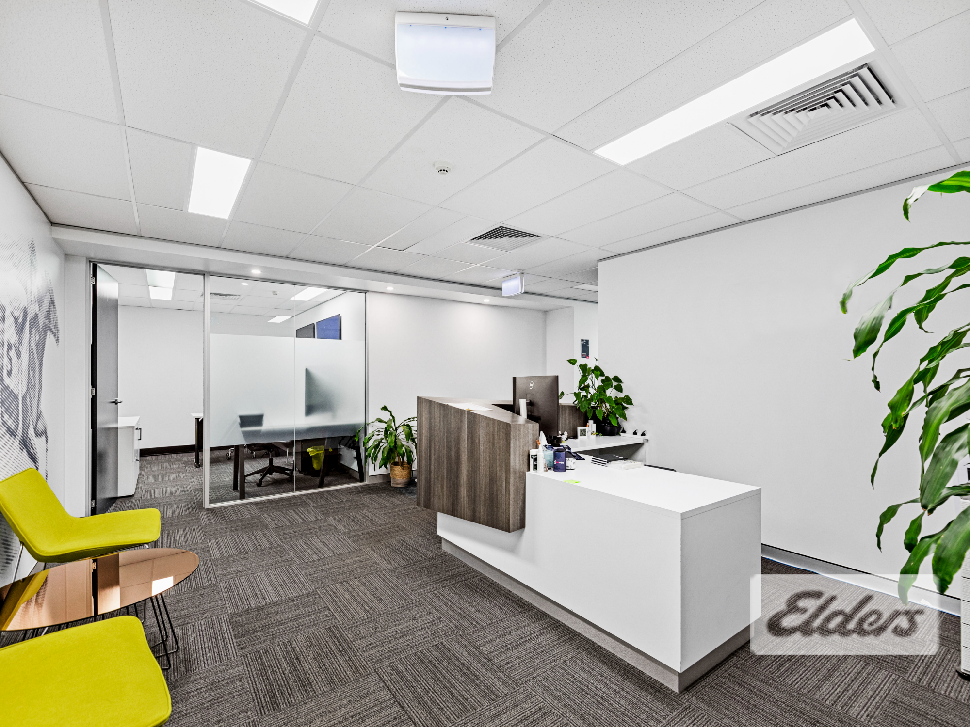 177426-FORTITUDE-VALLEY-2025-08-25-215135-3
