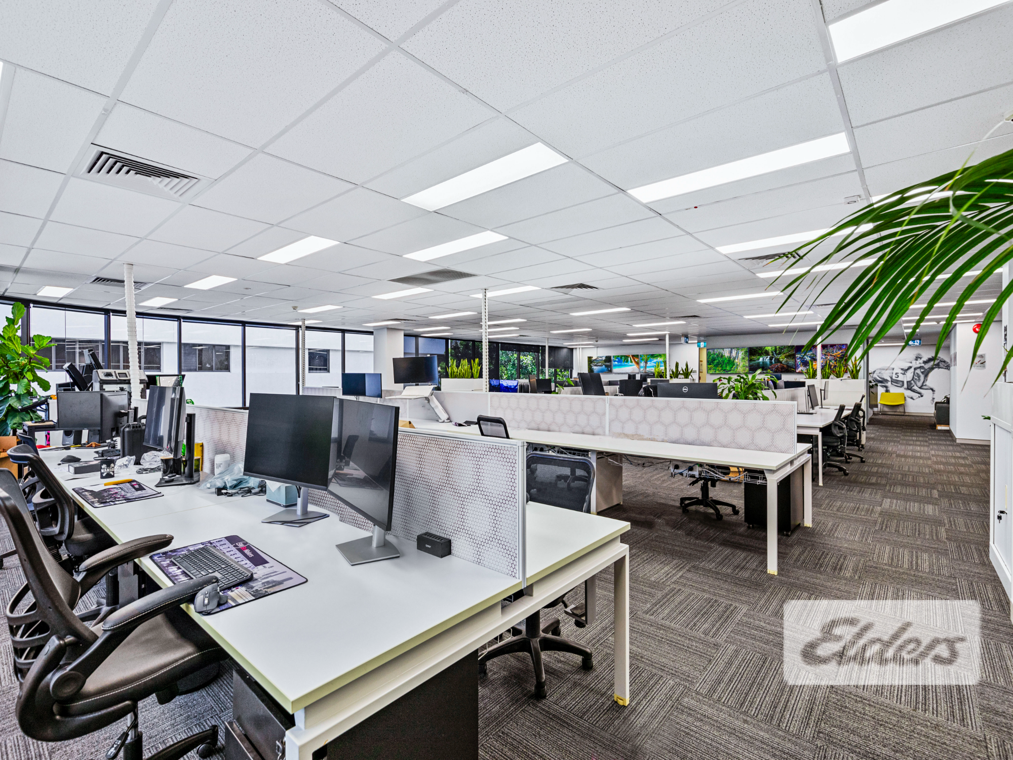 177426-FORTITUDE-VALLEY-2025-08-25-215135-8