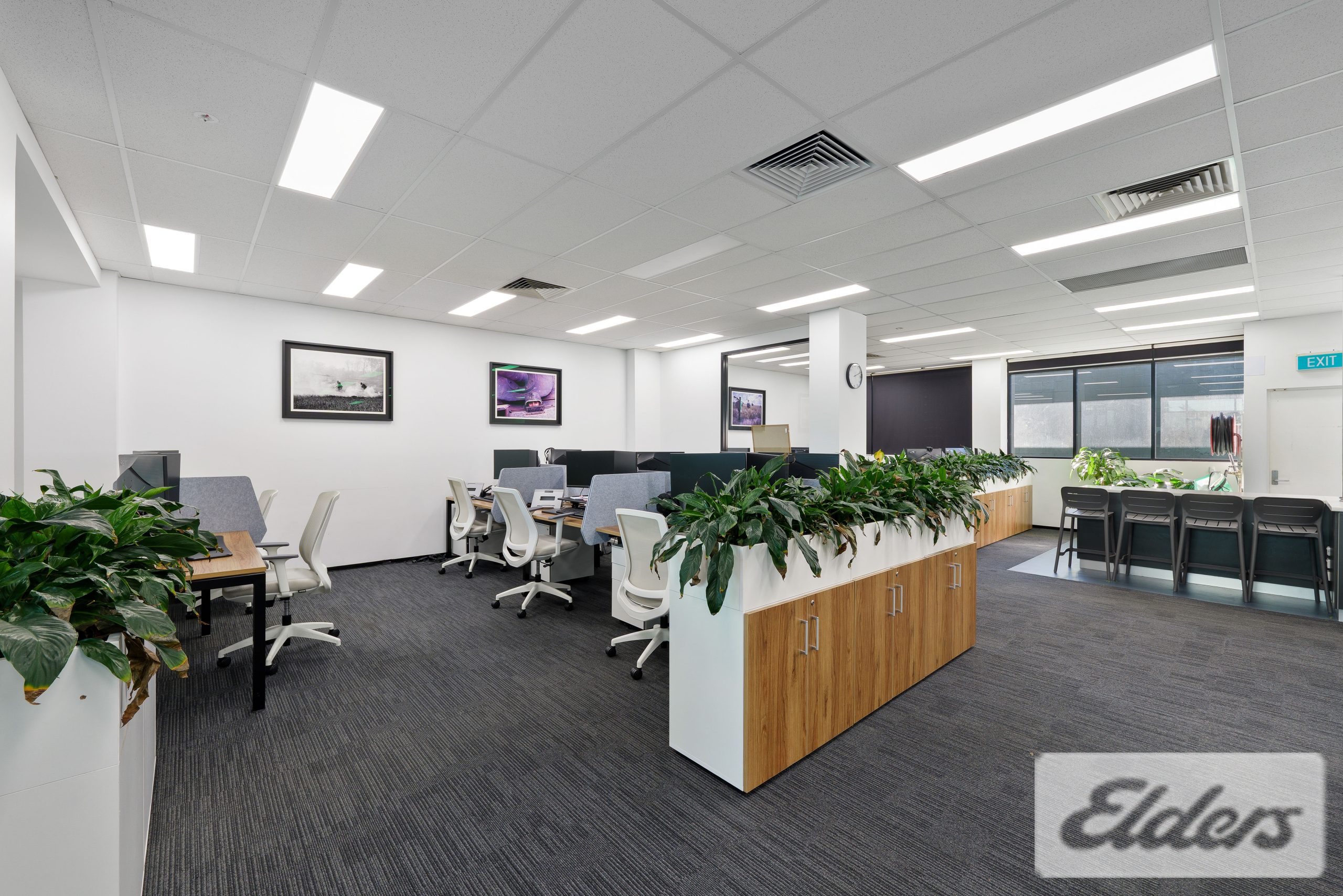 183971-WOOLLOONGABBA-2026-07-27-052005-6